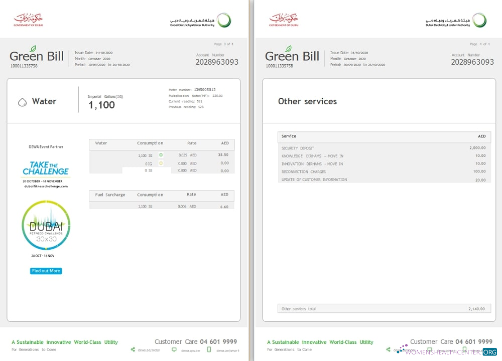 download download UAE Dubai Electricity & Water Authority utility bill template in Word format (4 pages) 3 4